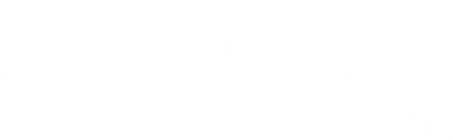 دليل