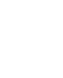 كيت زون